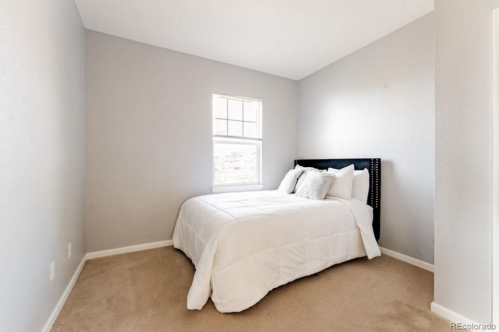 3887 Ute Mountain Trail