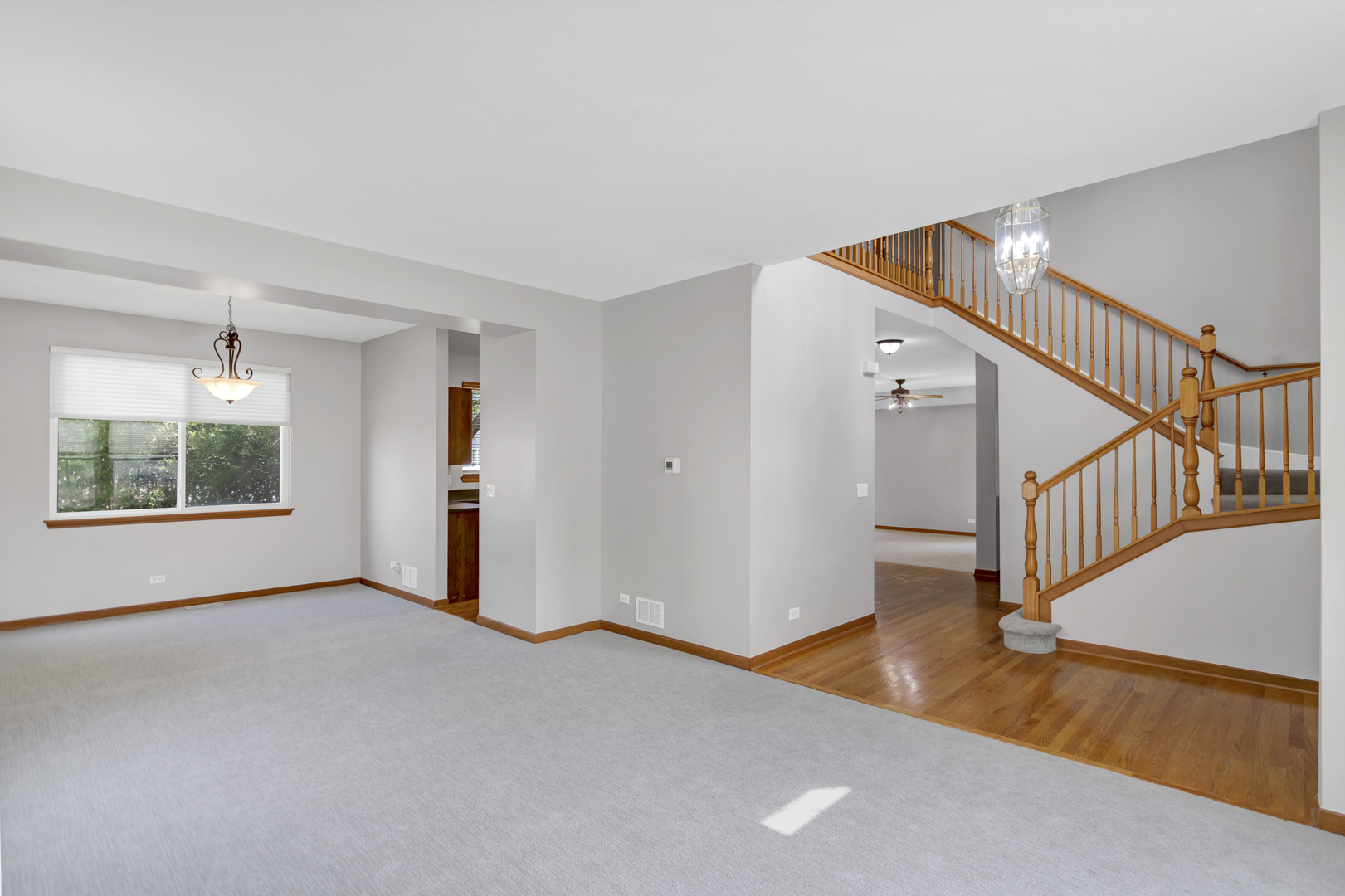 10338 ASHLEY Street