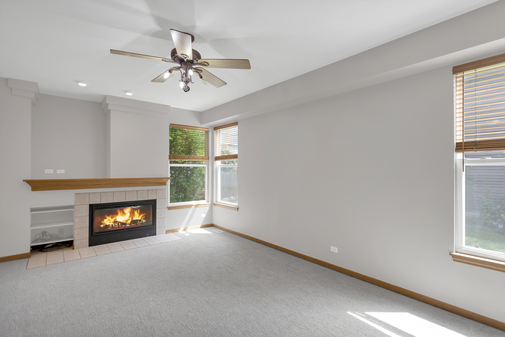 10338 ASHLEY Street