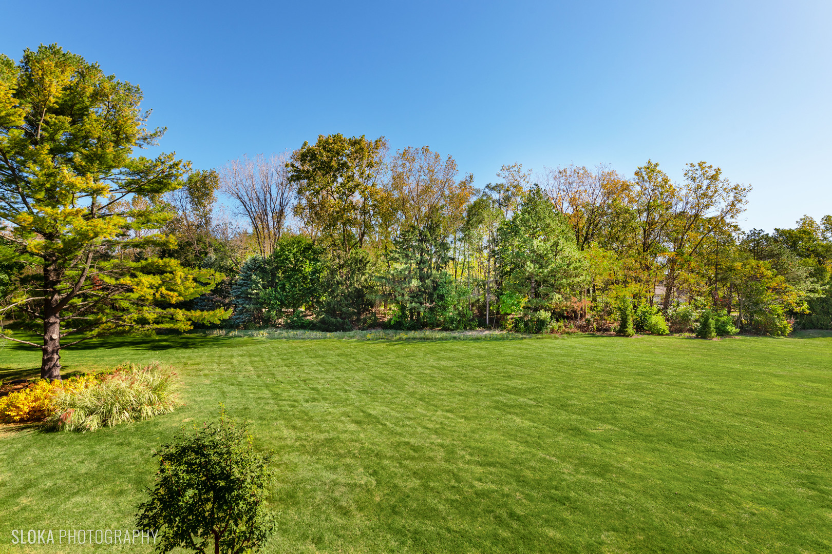 5814 Wild Plum Road