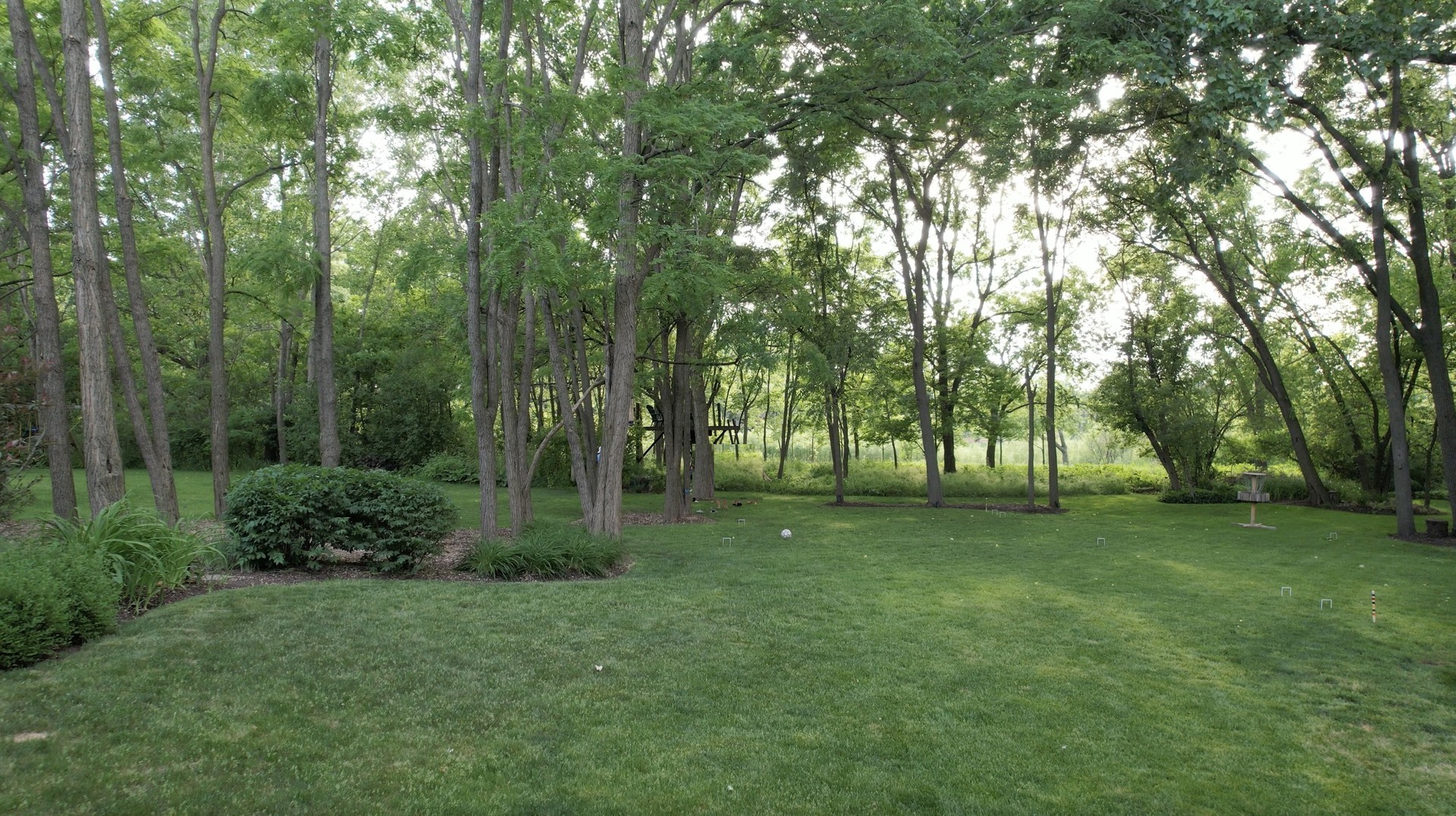 Backyard lawn with mature trees and a small elevated wooden platform among the branches.