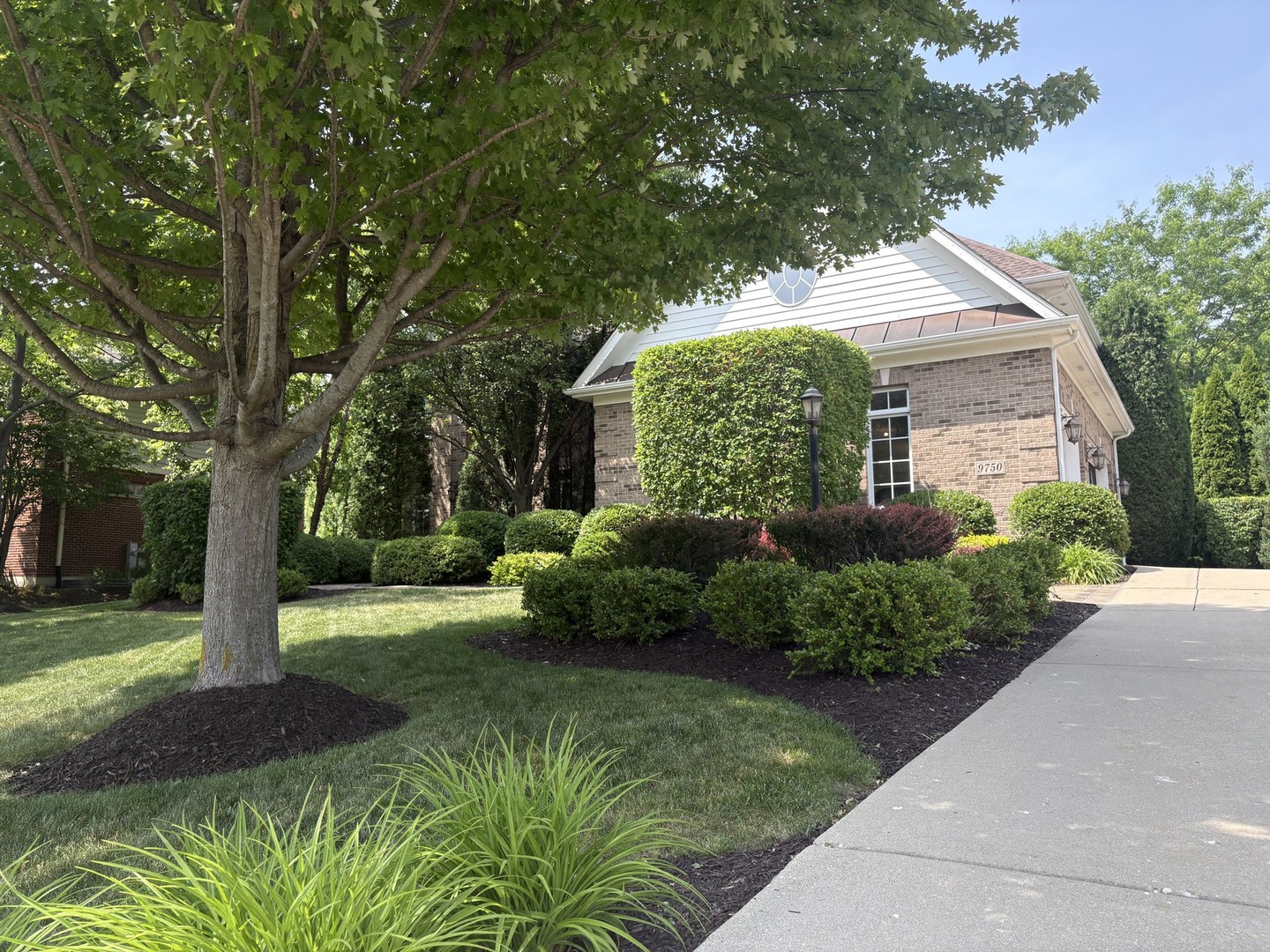 Brick building at 9750 Stonecastle Lane, framed by landscaped shrubs and a large shade tree.