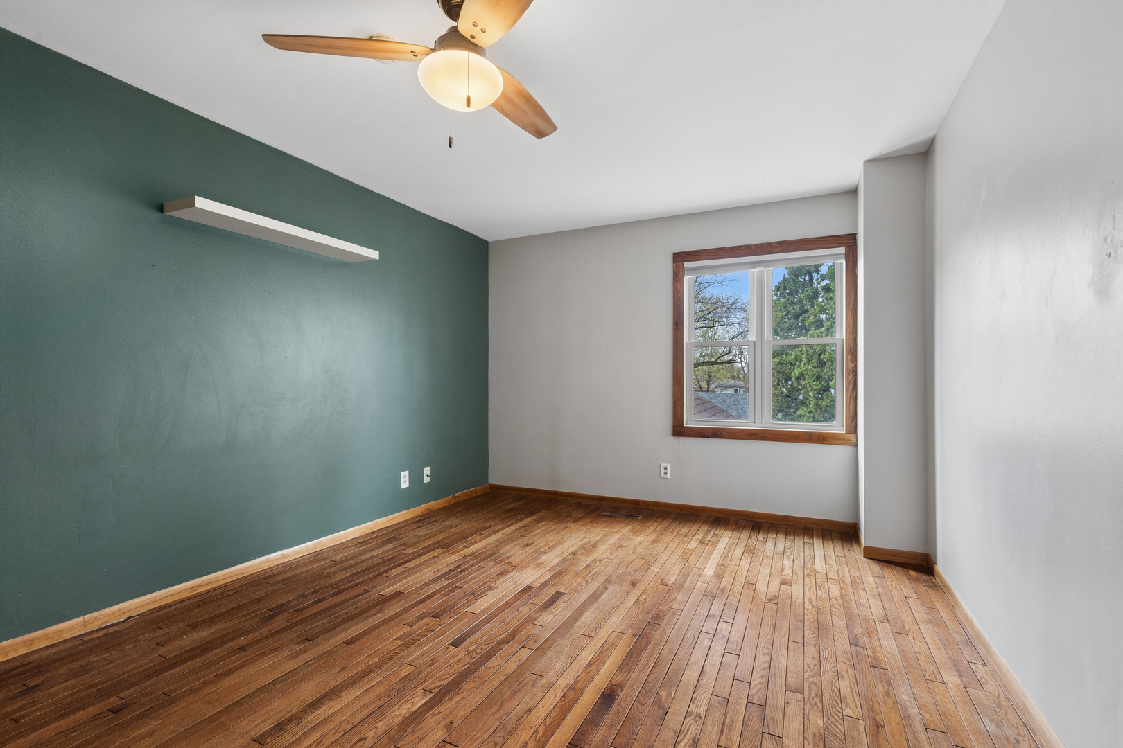 Empty bedroom with hardwood floors, a teal accent wall, and a ceiling fan.