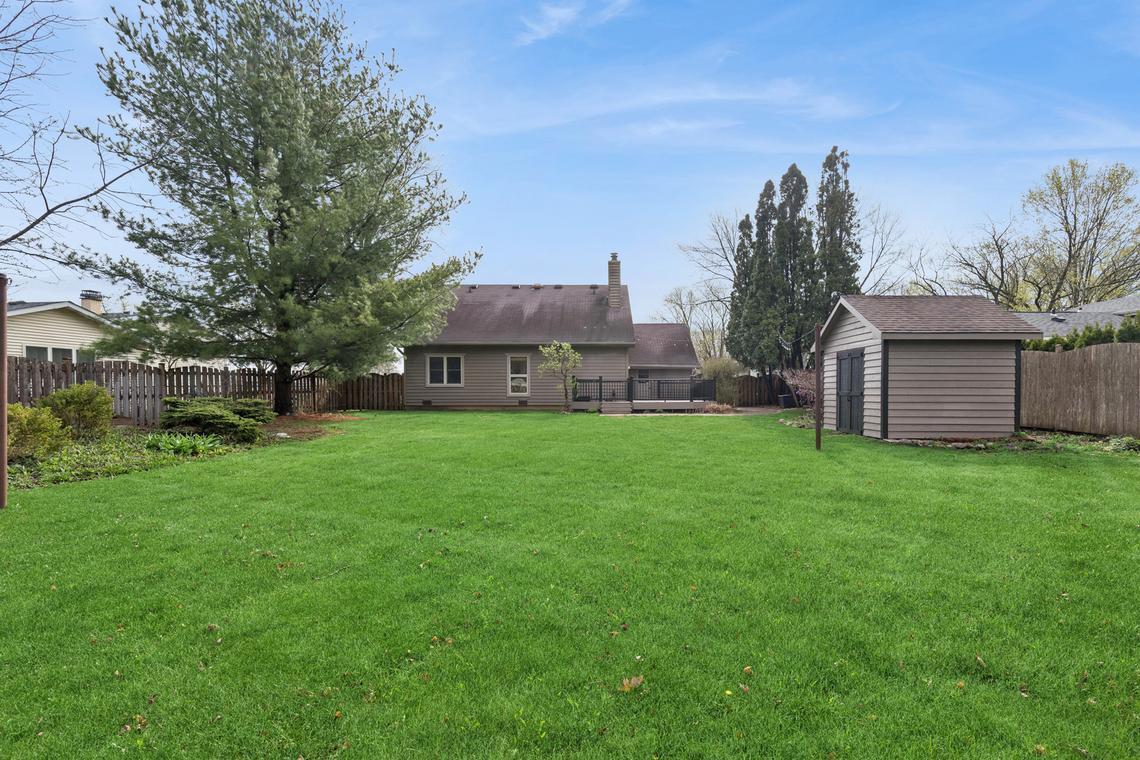 Home’s fenced backyard with a broad lawn, raised deck, mature trees, and detached shed.