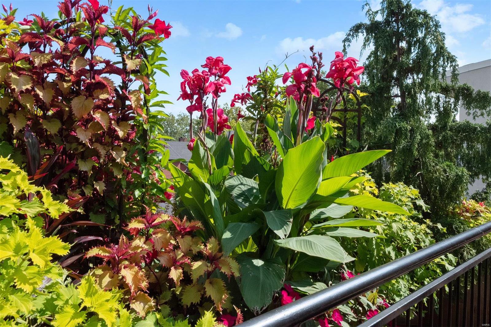 110 N Newstead Avenue Unit: 304