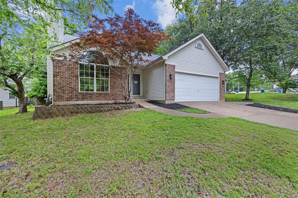 11917 Katiejo Court