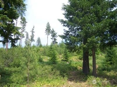 420 Big Rock Lane