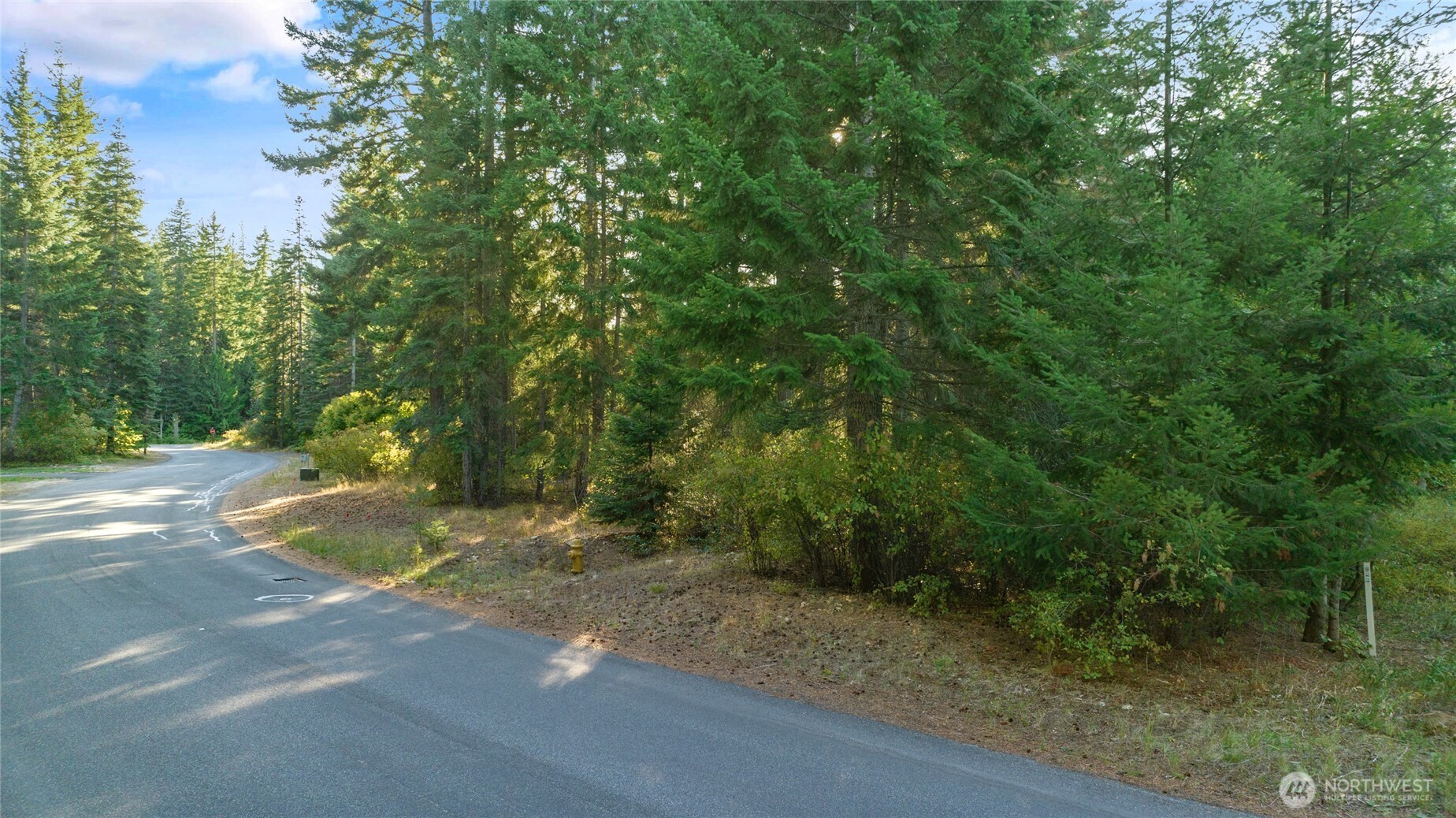2040 Ruby King Loop