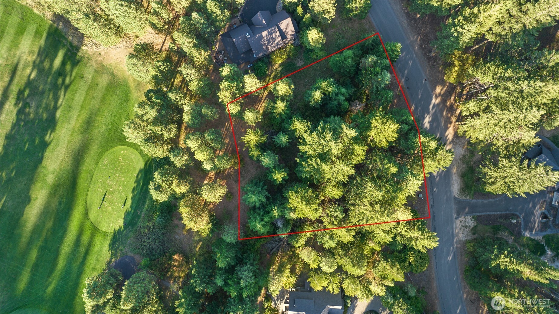 2040 Ruby King Loop
