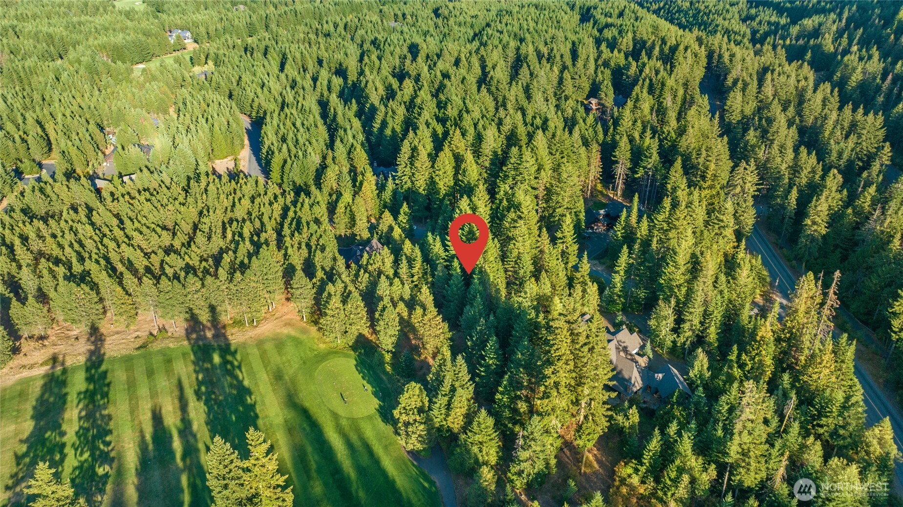2040 Ruby King Loop