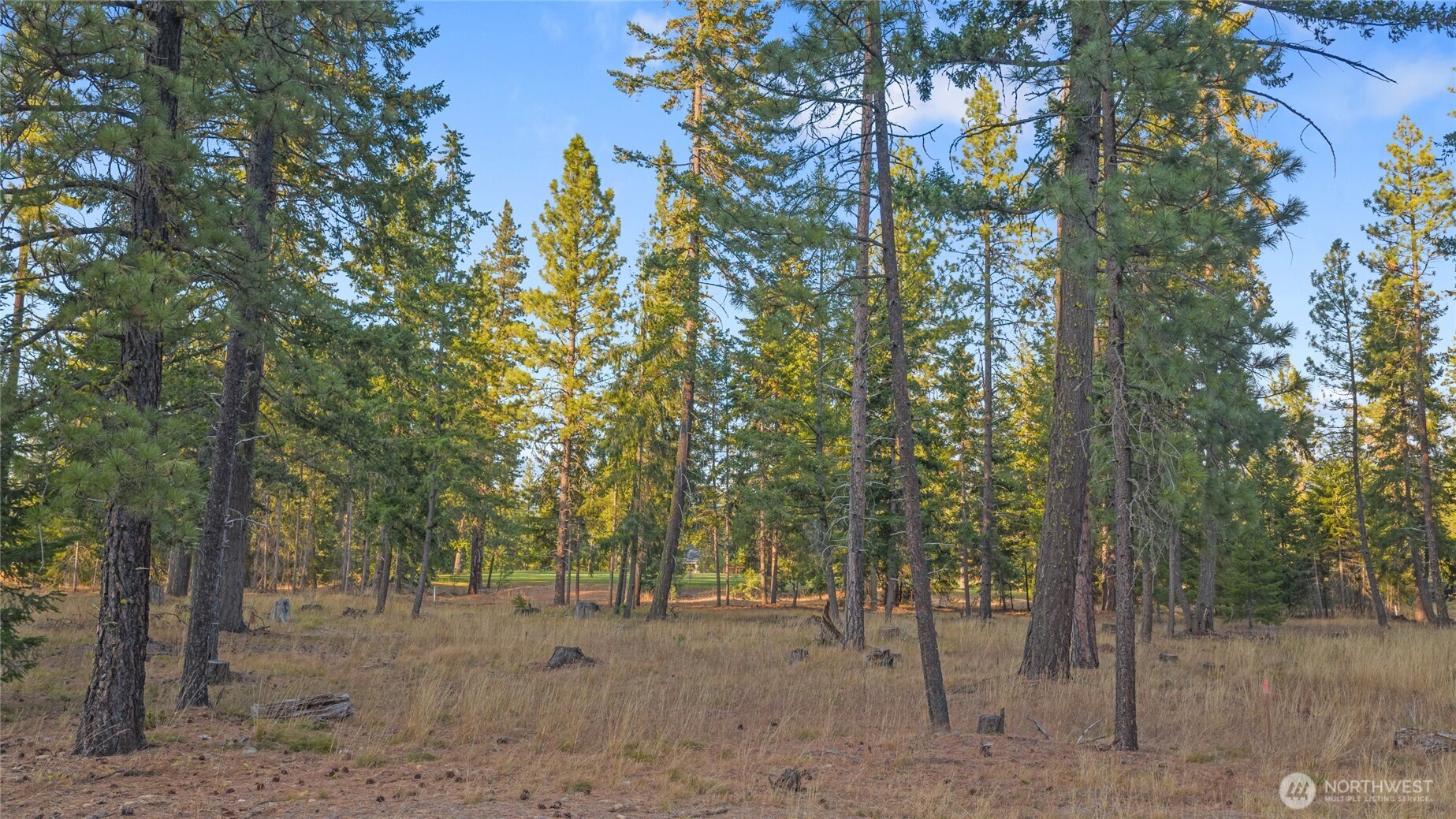 32 Domerie Park Loop