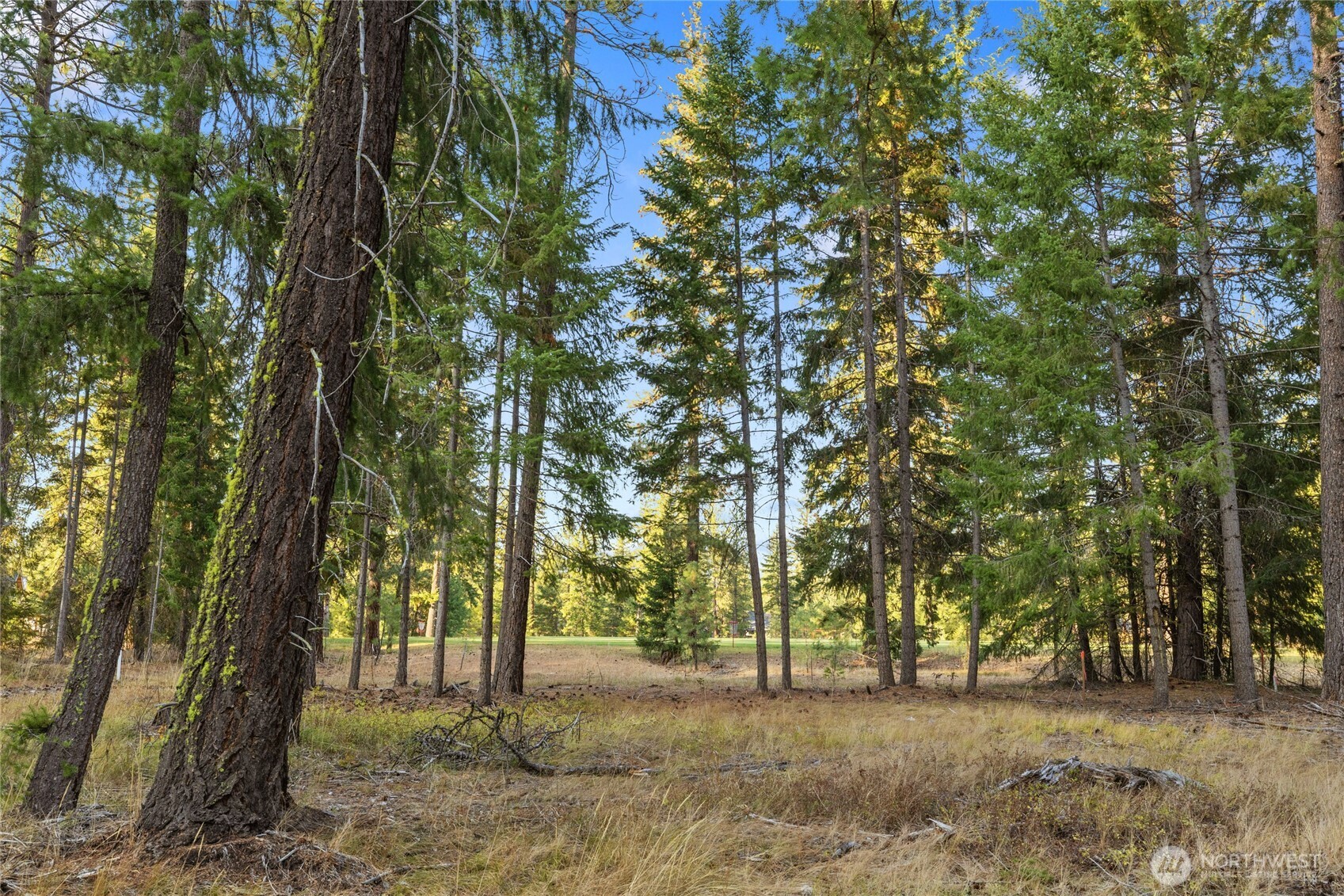 32 Domerie Park Loop