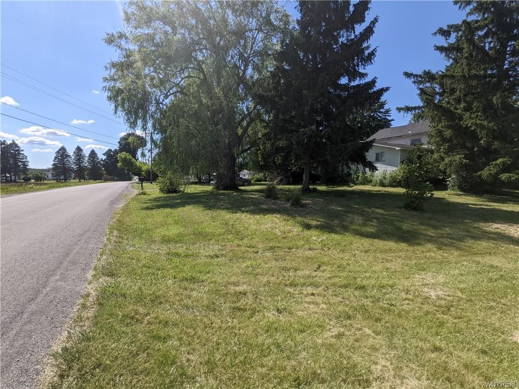 9951 Mountain Road
