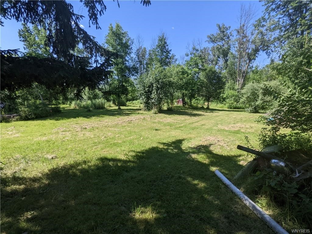 9951 Mountain Road