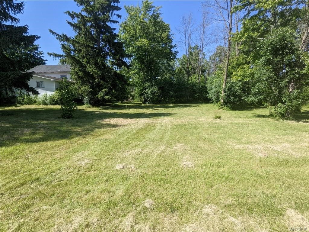 9951 Mountain Road
