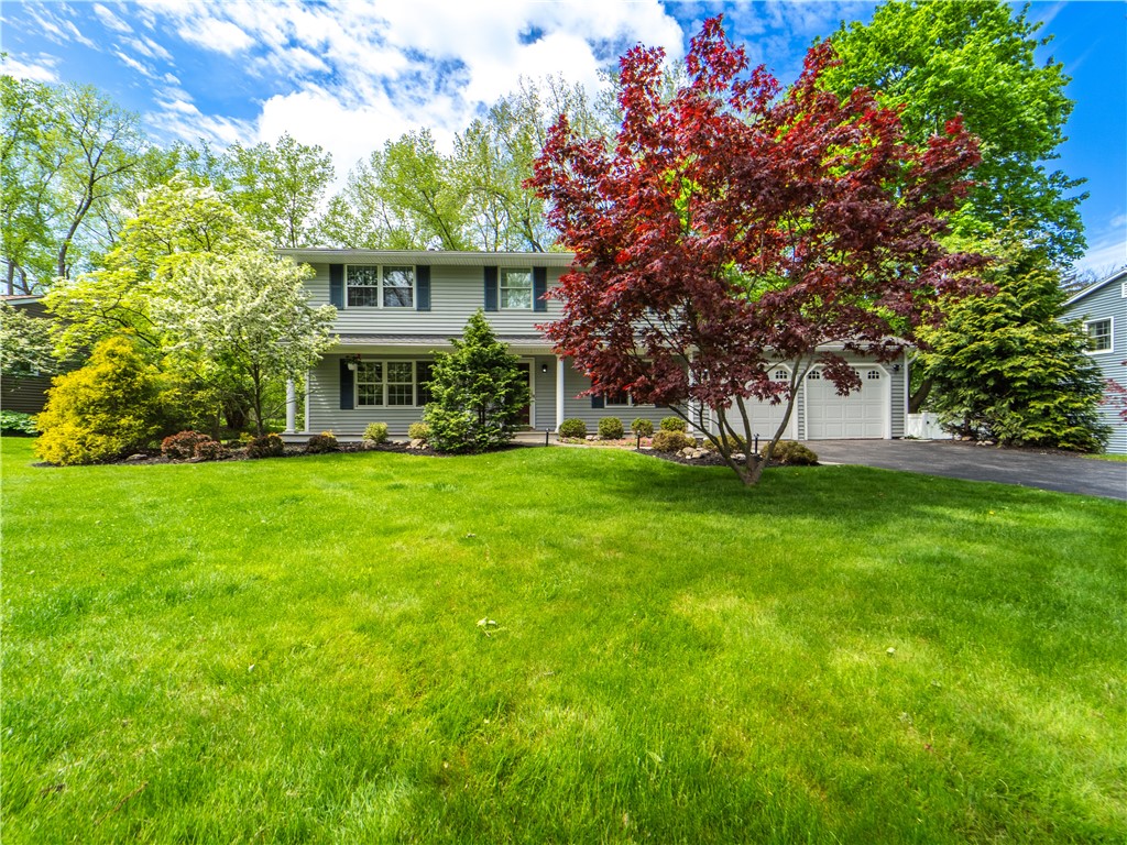 39 Southcross