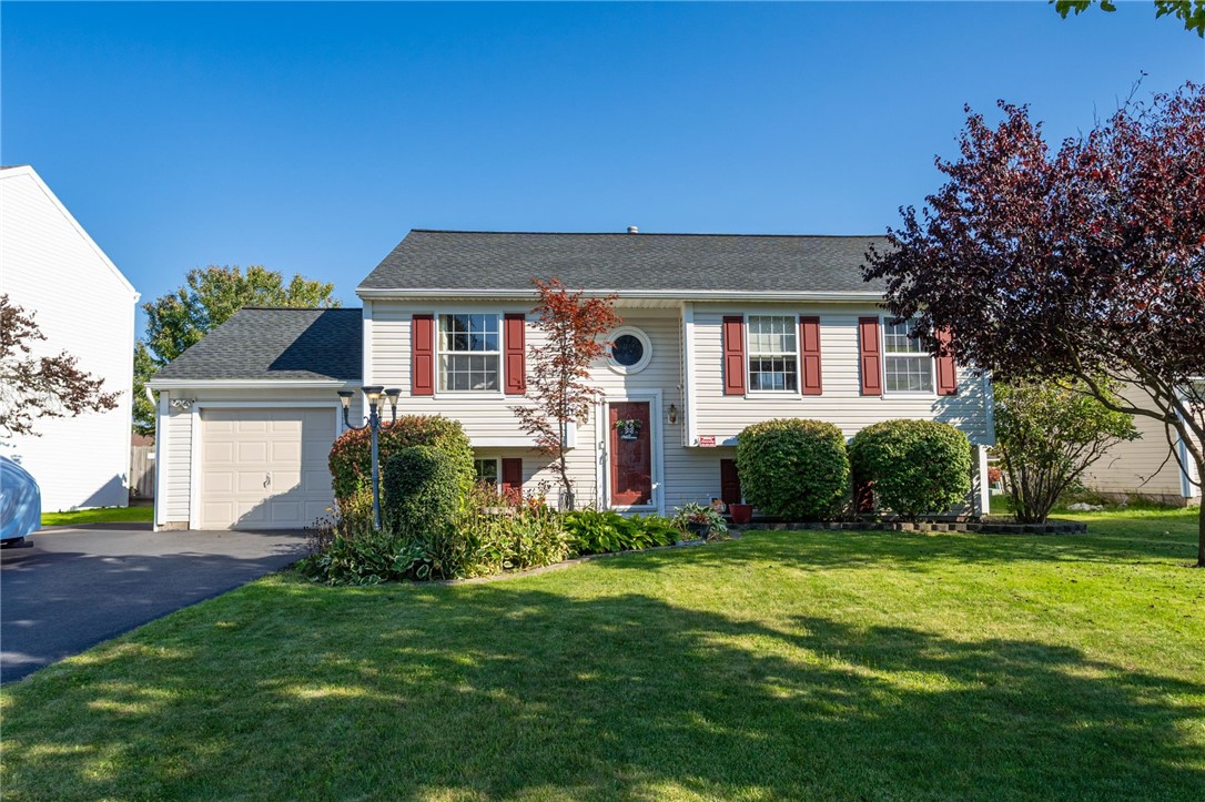 11 Cornflower Drive