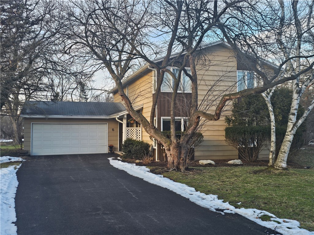 5 Boniface Drive