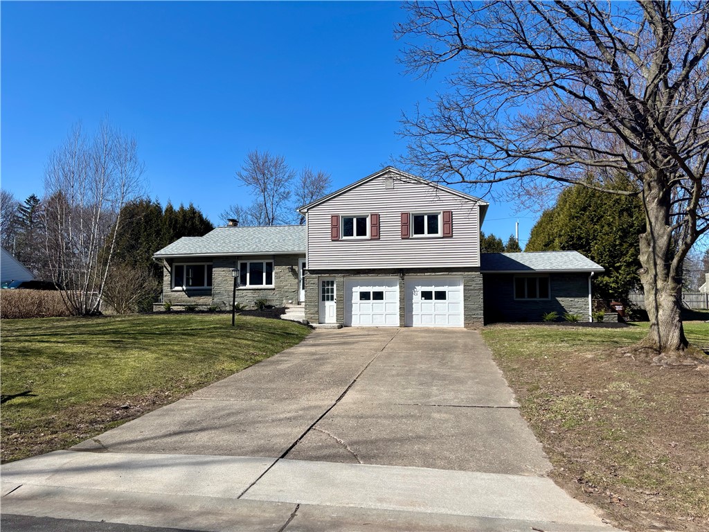 243 Curtice Park