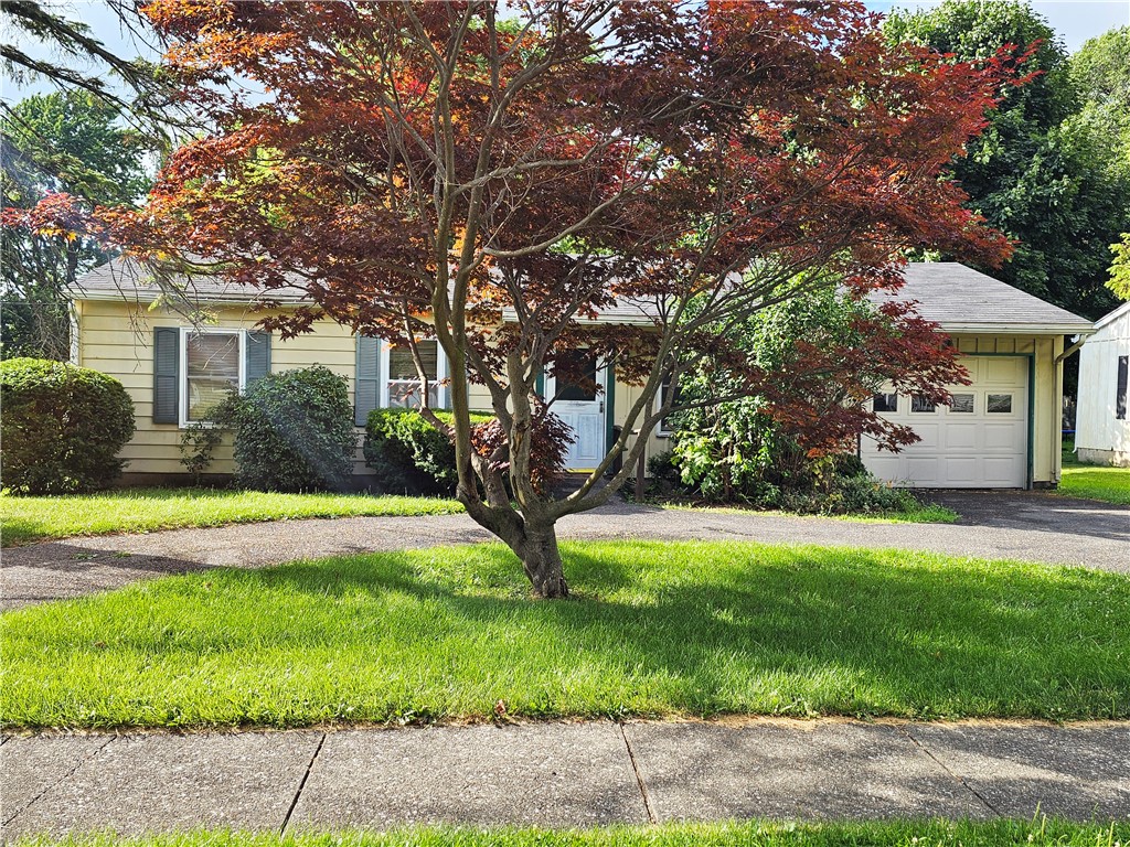 44 Seneca Drive