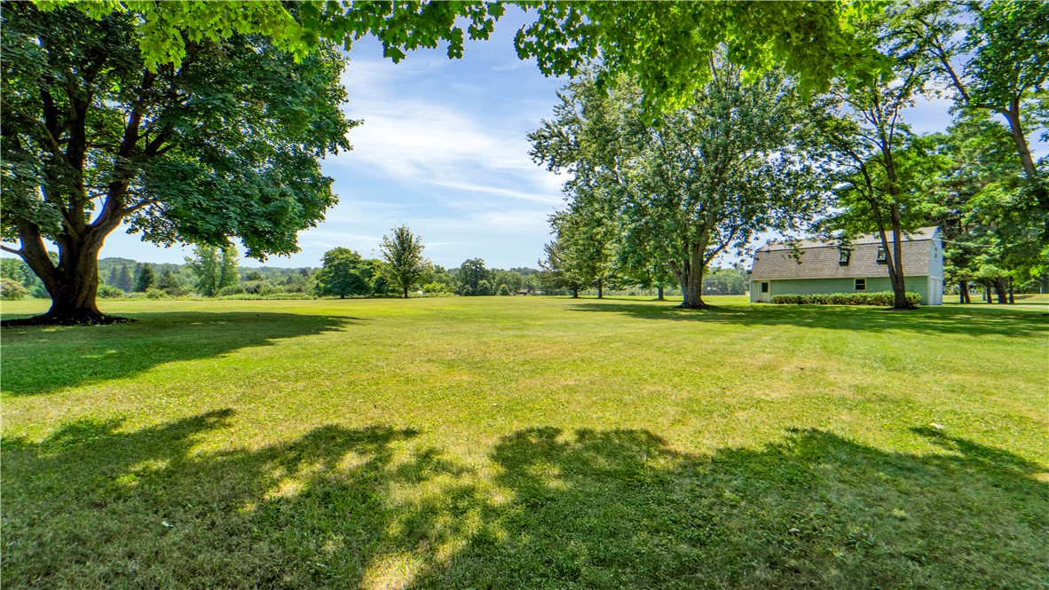 7377 Eddy Road