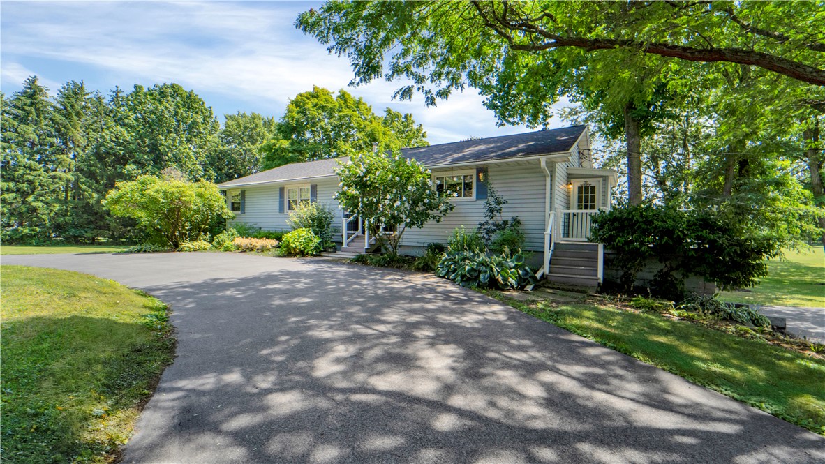 7377 Eddy Road