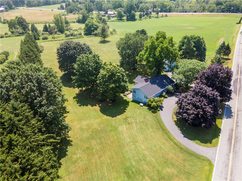 7377 Eddy Road