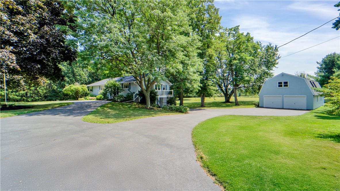 7377 Eddy Road