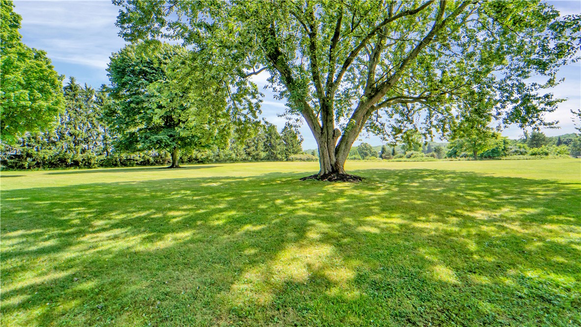 7377 Eddy Road