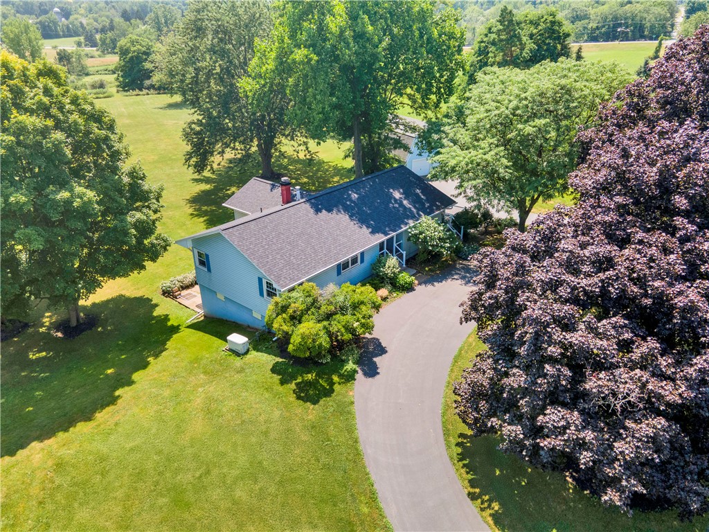 7377 Eddy Road