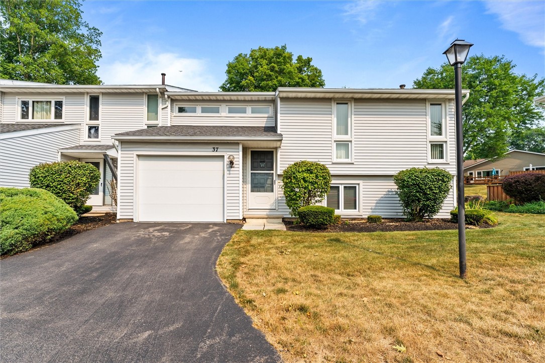 37 Blue Ridge Road