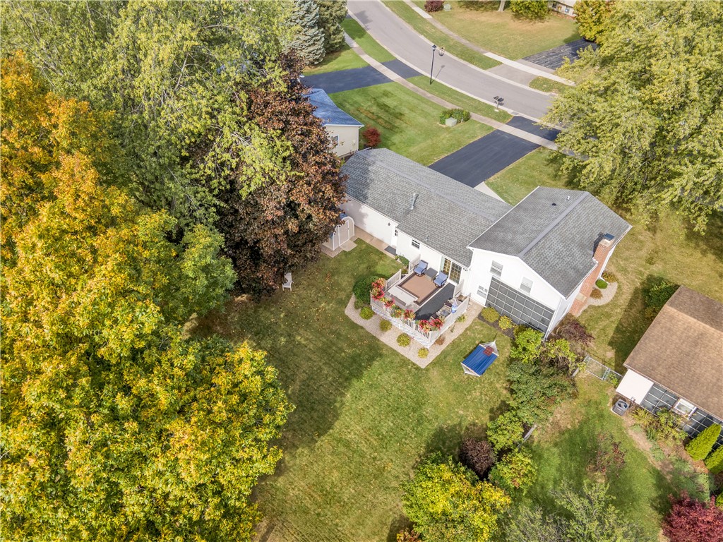 100 Long Wood Drive