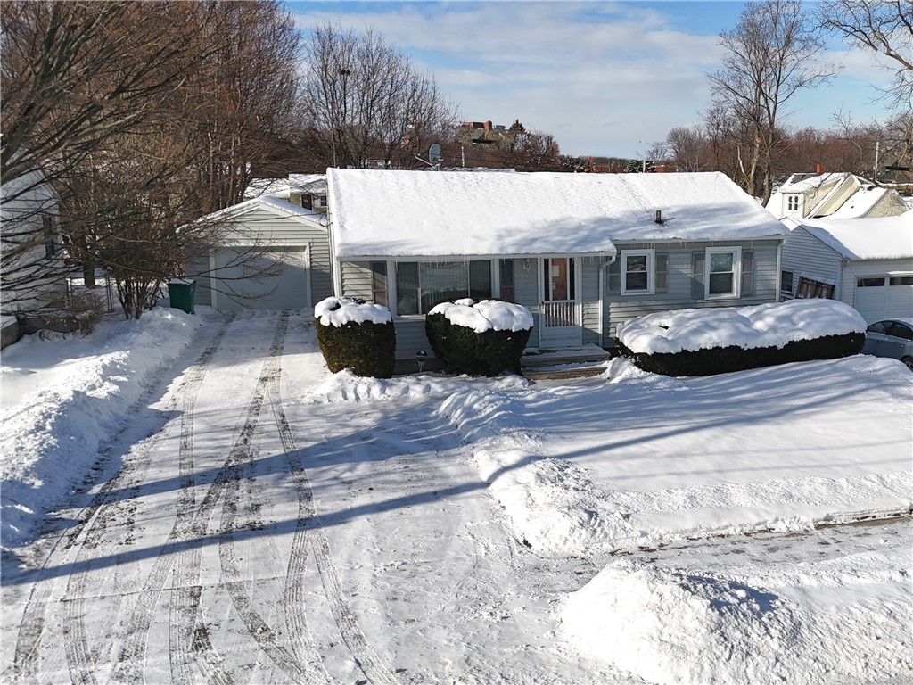241 Knapp Avenue
