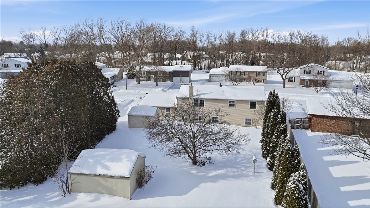 95 Spring Tree Lane