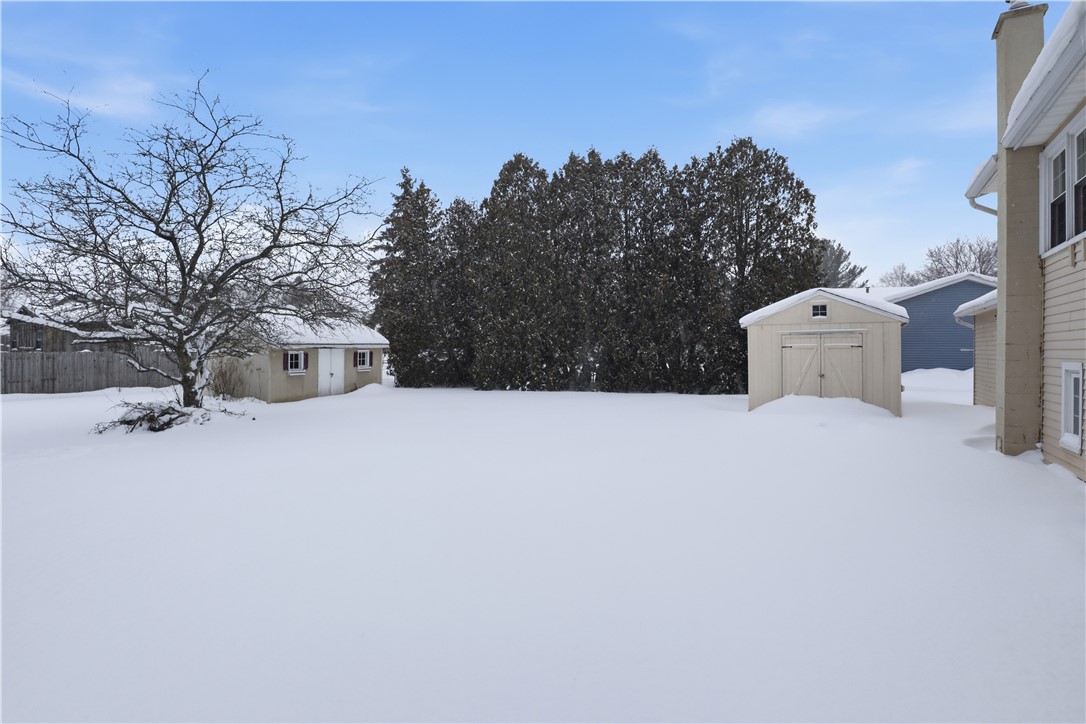95 Spring Tree Lane