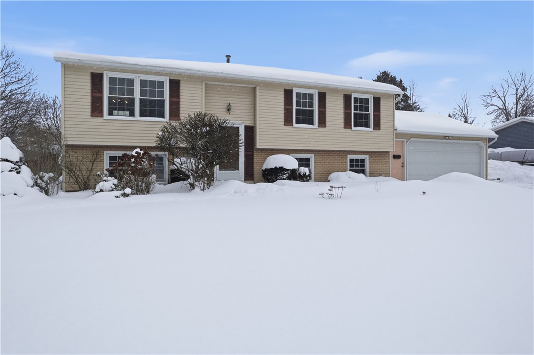 95 Spring Tree Lane