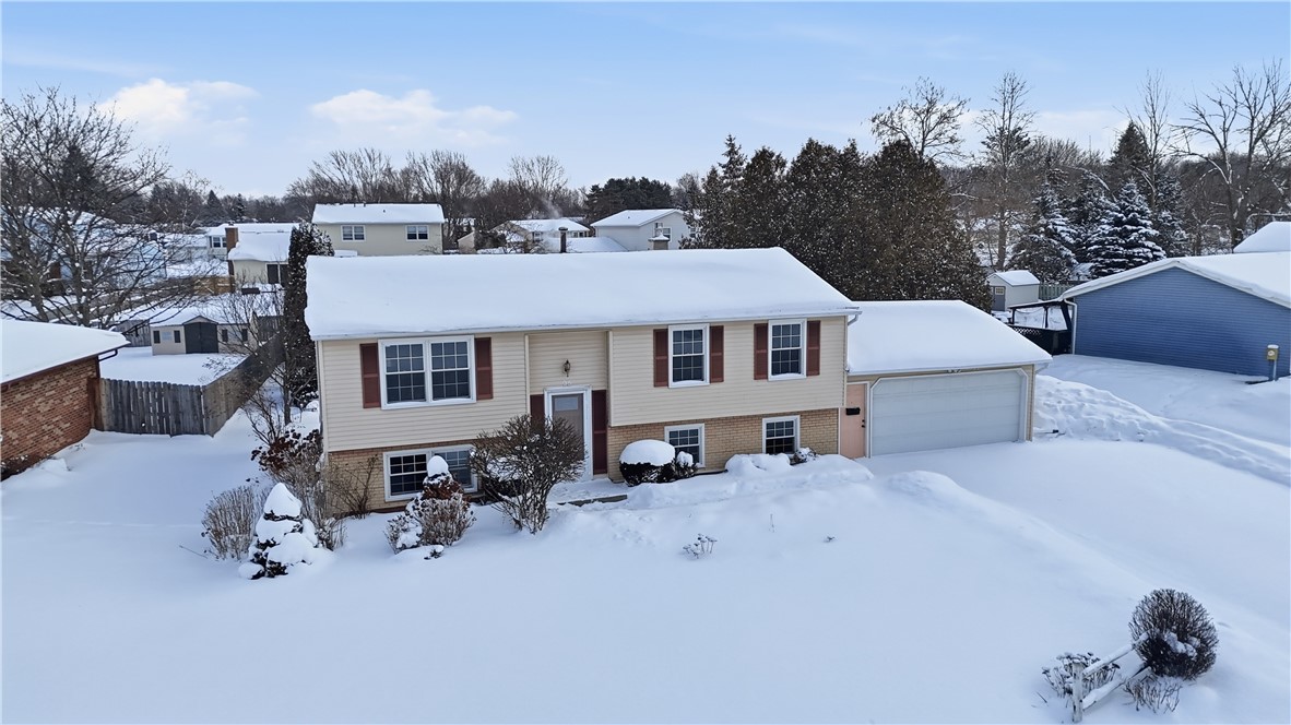 95 Spring Tree Lane