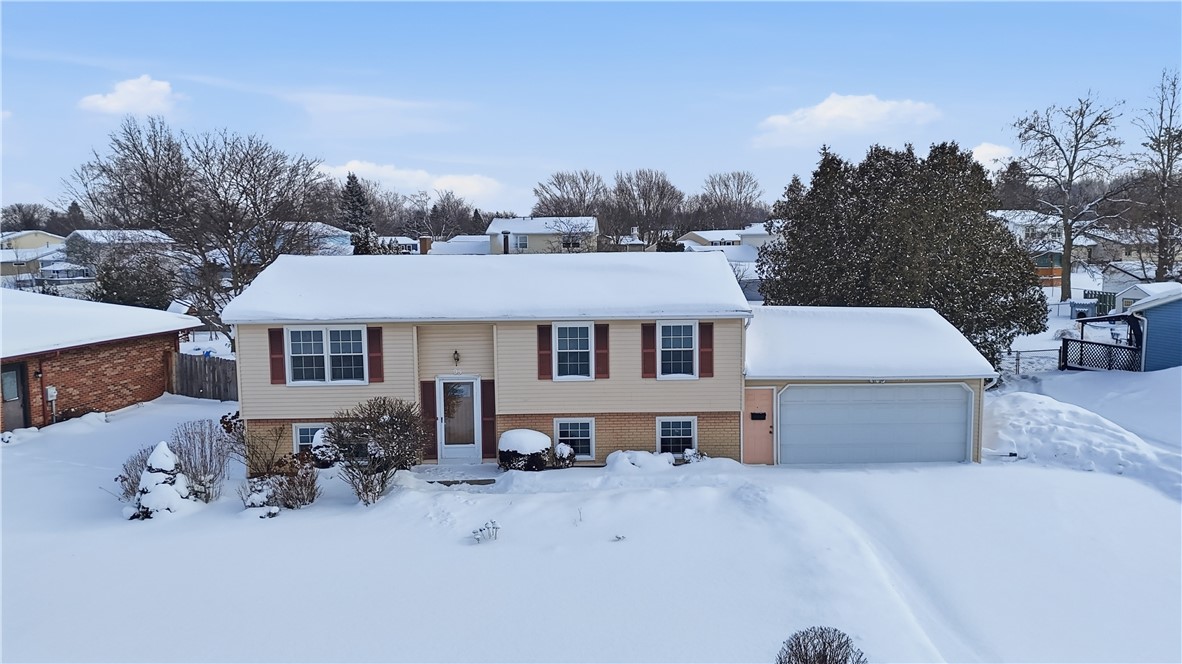 95 Spring Tree Lane