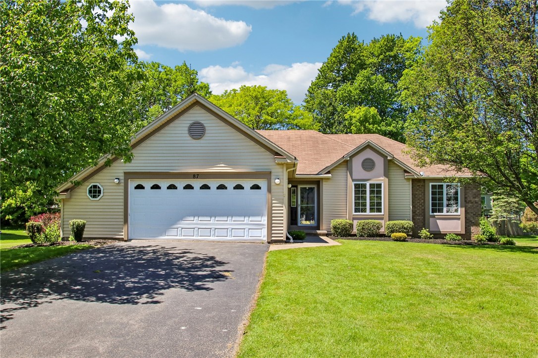 87 Collenton Drive