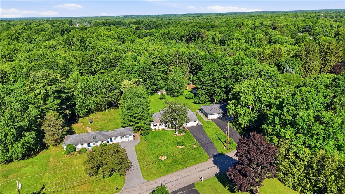 42 Everett Drive