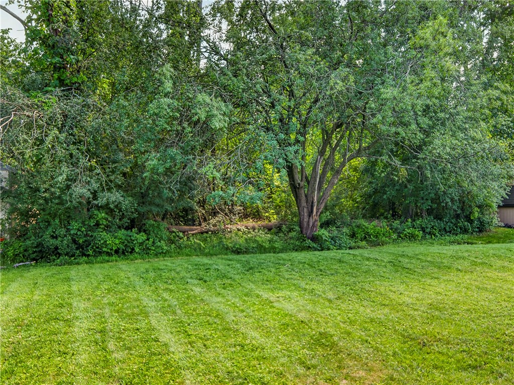242 Guinevere Drive