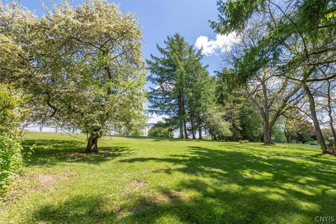 1738 Preston Hill Road