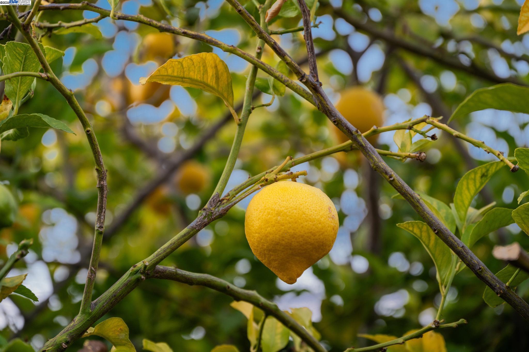 7029 STOCKTON AVENUE