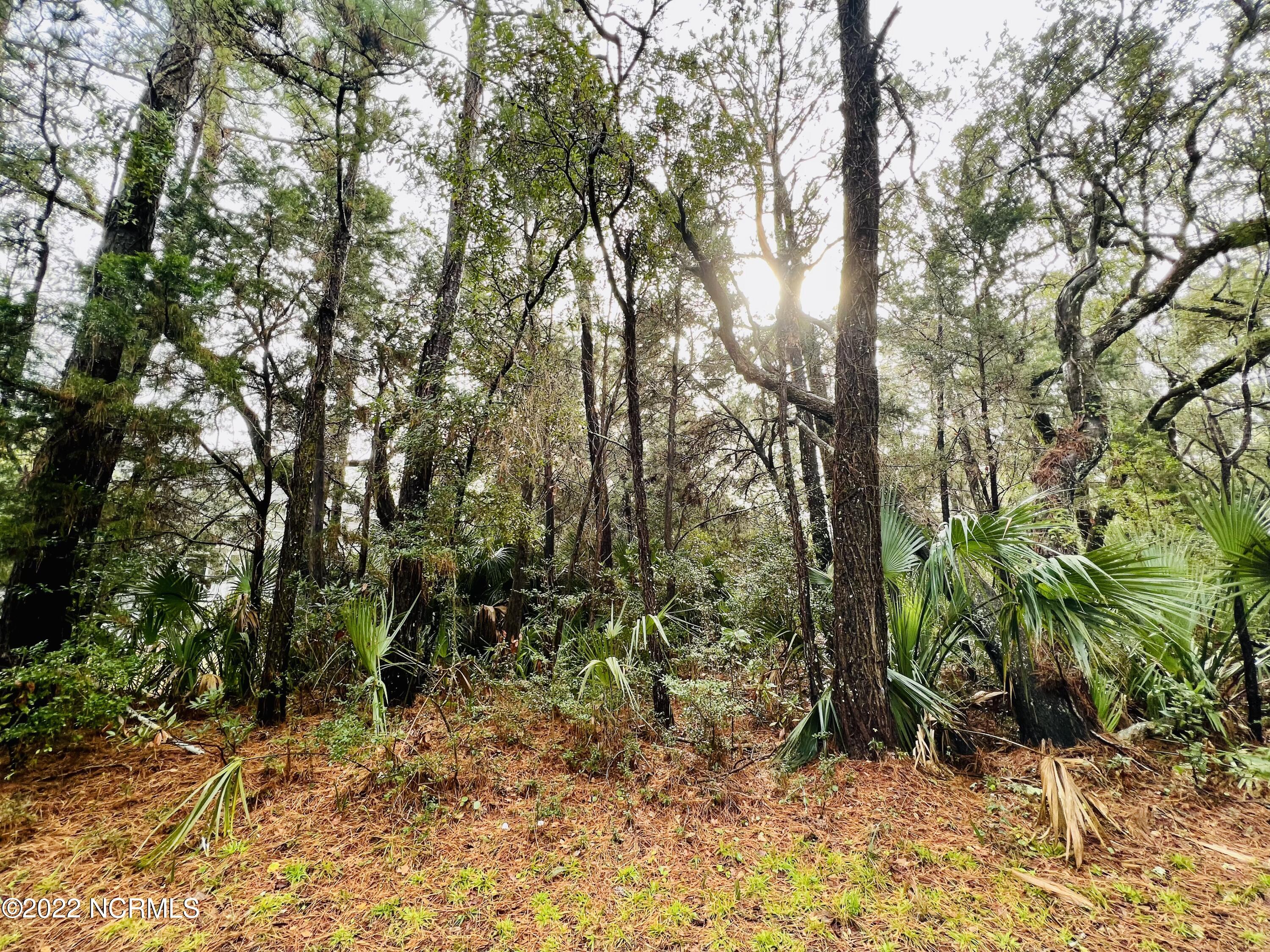14 Dowitcher Trail