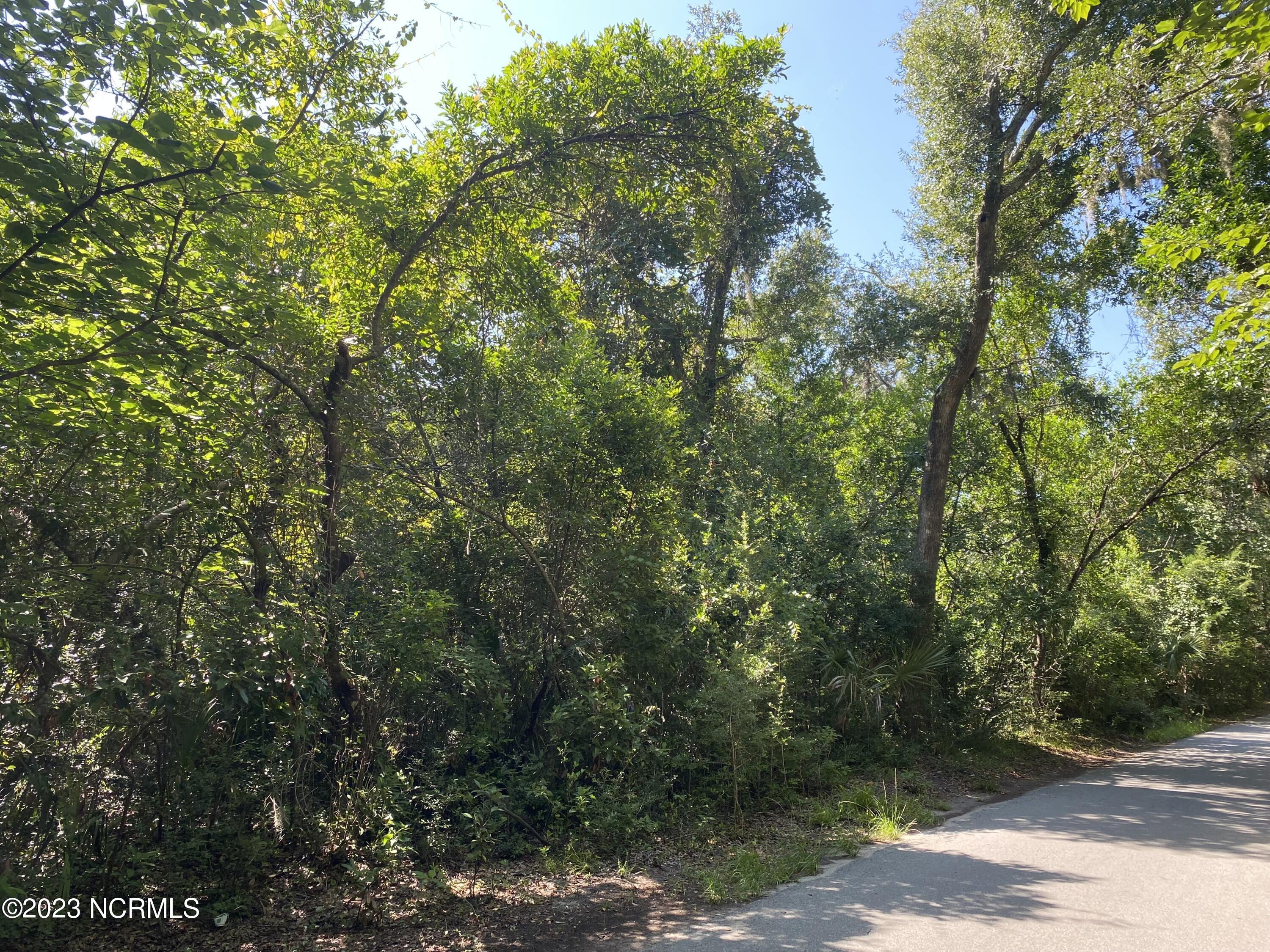 108 1209 W Bald Head