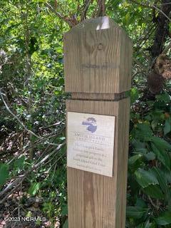 108 1209 W Bald Head