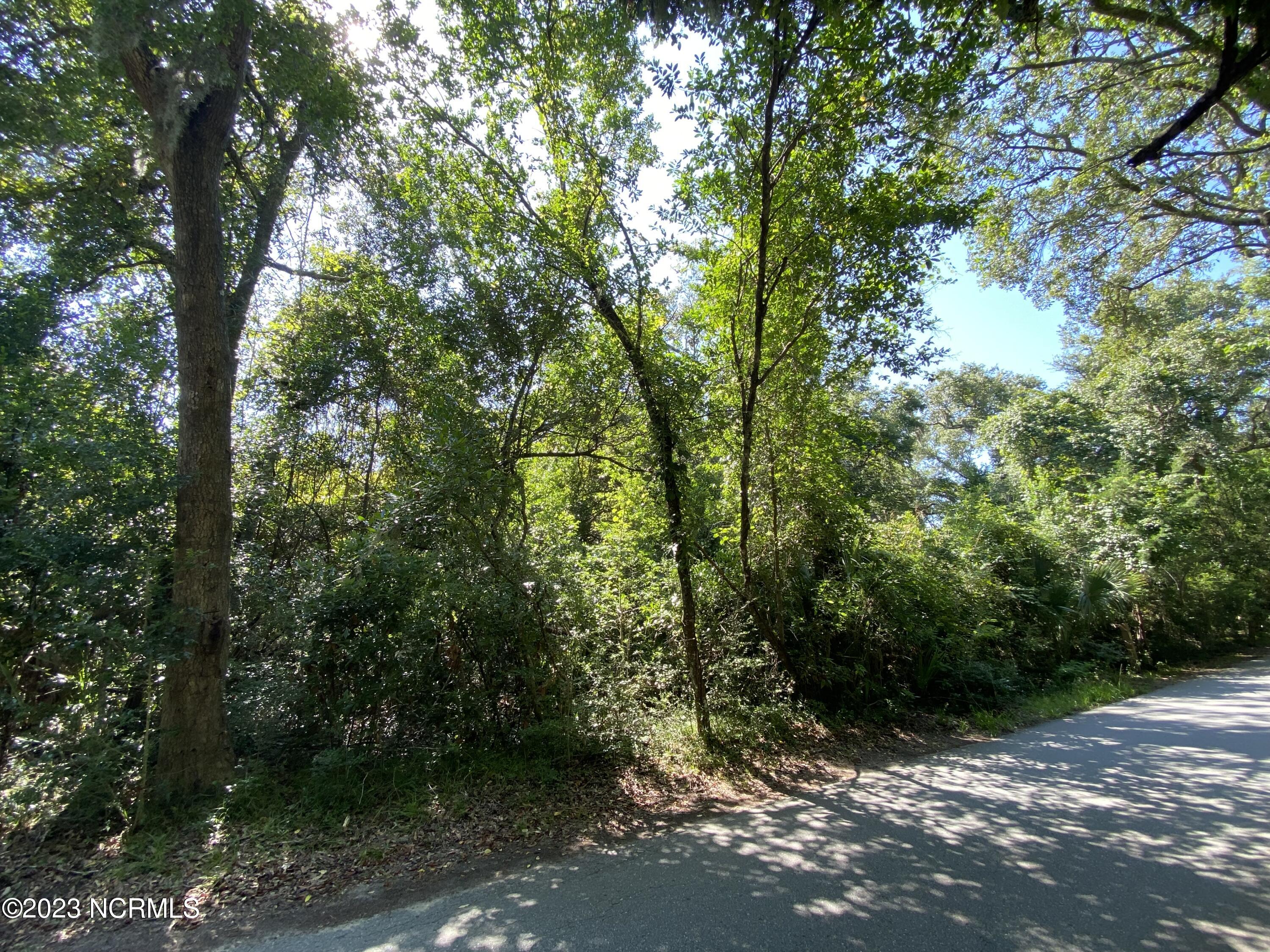 108 1209 W Bald Head