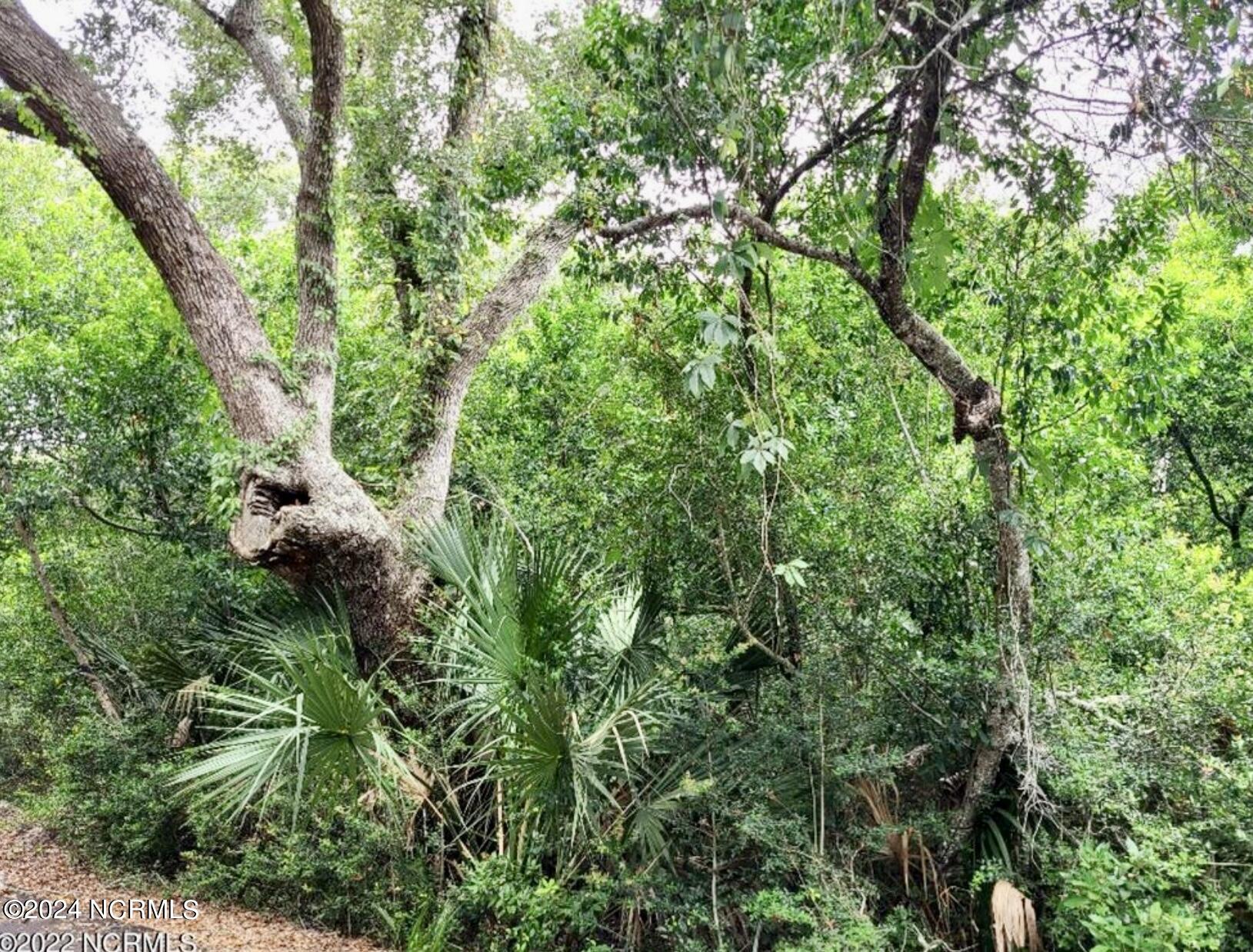 5543/5545 Chicamacomico Way