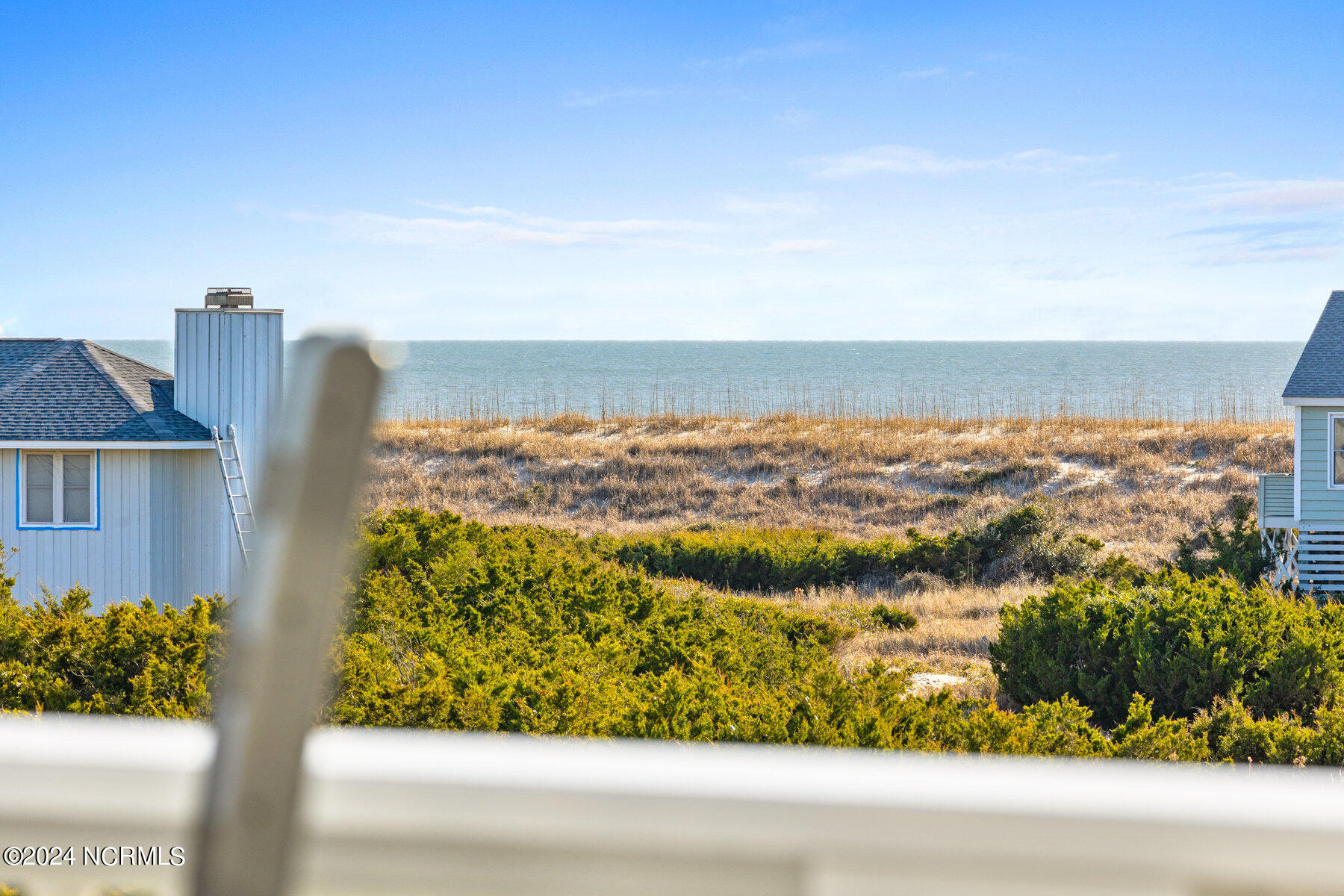 24 Mourning Warbler Trail