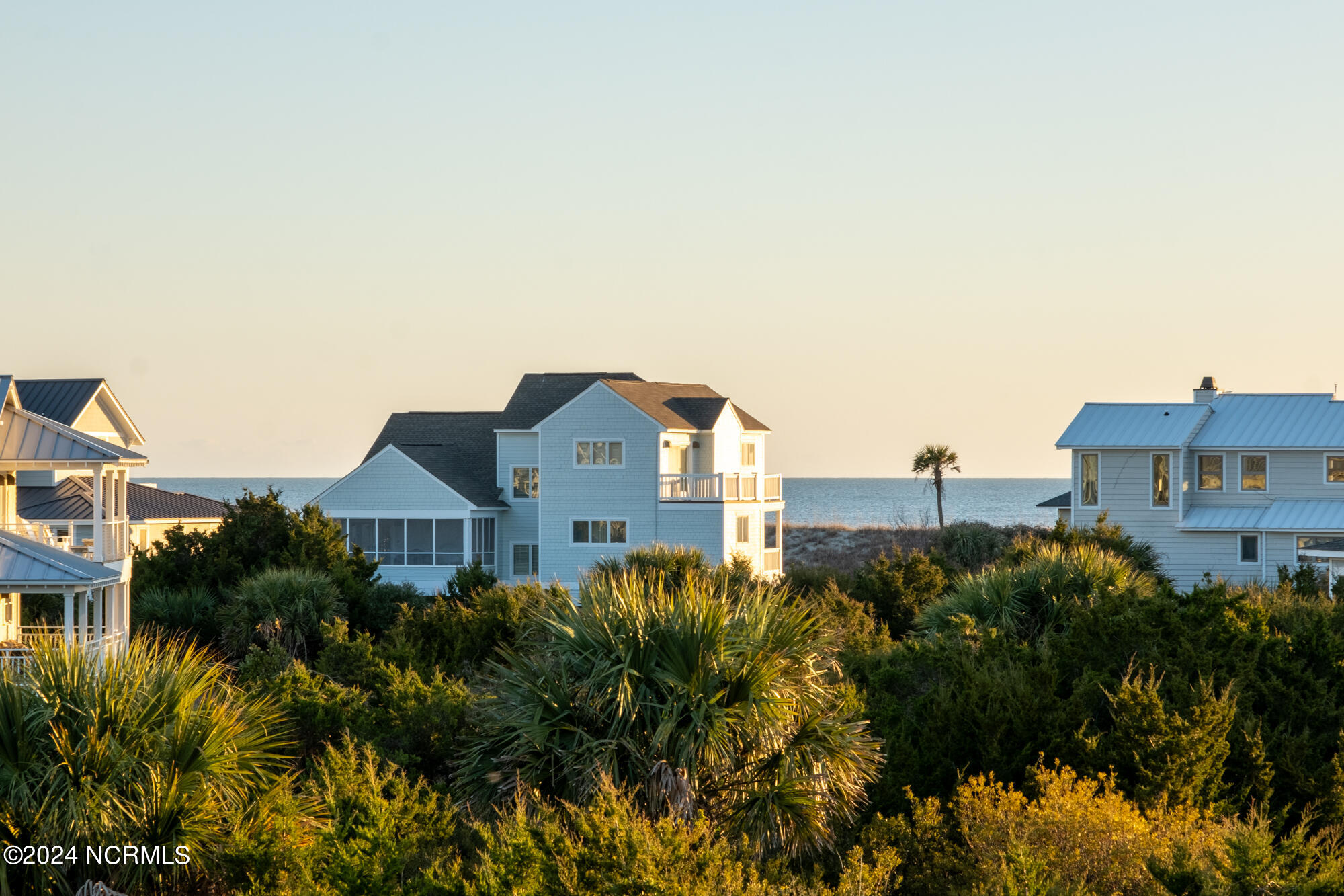 23 Black Skimmer Trail